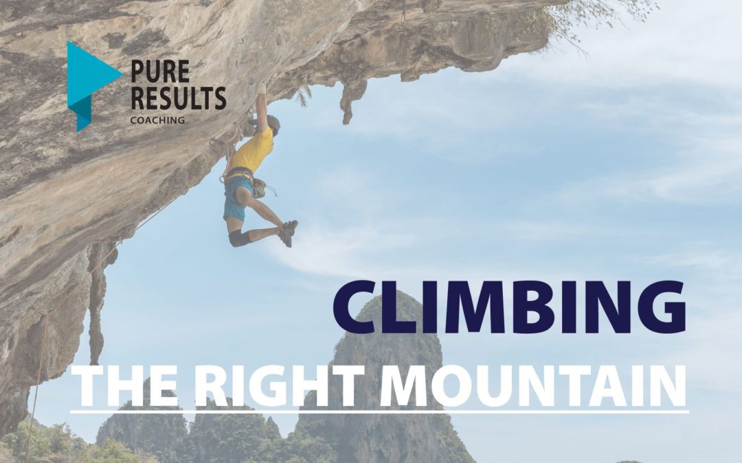 Climbing The Right Mountain